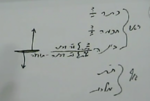 זת דבינה- ישסות מקשר בין ראש לגוף דף יג