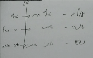 עולם שנה נפש- מאמר הניצנים