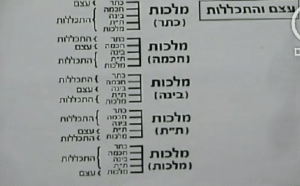 עצם והתכללות- דף יא יב