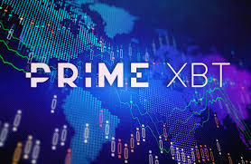 Exploring Opportunities with Hub PrimeXBT