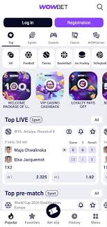 wowbet с выплатами 4