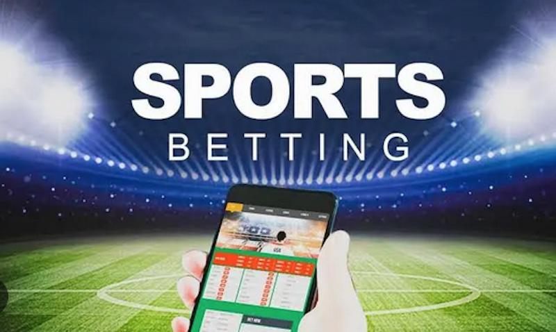 Your Guide to Safi Bet A Comprehensive Review Your Guide to Safi Bet A Comprehensive Review